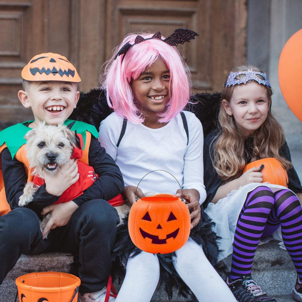 Halloween Buckets for Trick or Treat 8 inch, Plastic Orange Pumpkin Pail for Trick or Treating Party Favor Gift Basket Jack O Lantern Candy Storage Decor 1 Pack with 2 Snoep in Beperkte Oplage