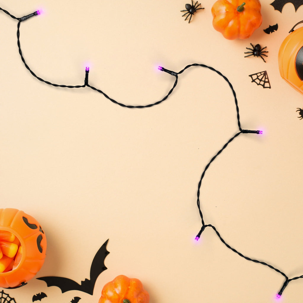 Northlight LED Wide Angle Halloween Lights - Purple - 10' Black Wire - 20ct