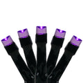 Northlight LED Wide Angle Halloween Lights - Purple - 10' Black Wire - 20ct