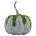 Mossy Pumpkin Decoration, Multicolor, 7.1", Halloween by Way To Celebrate